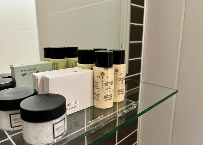 客栈酒店 酒店 奥兰莫尔